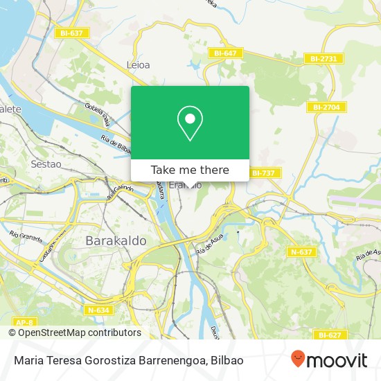 Maria Teresa Gorostiza Barrenengoa map