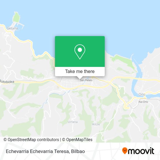 Echevarria Echevarria Teresa map