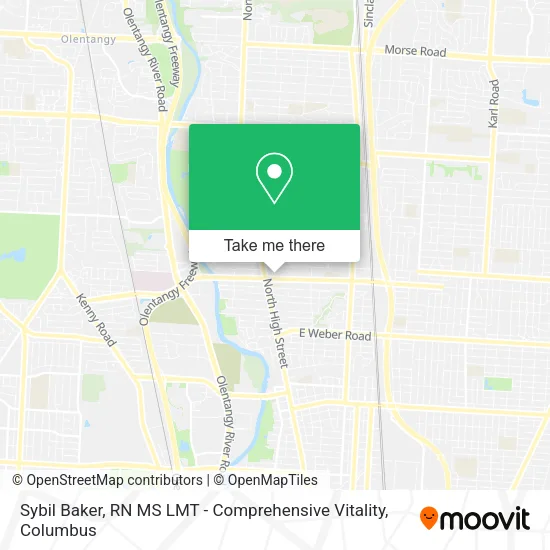 Sybil Baker, RN MS LMT - Comprehensive Vitality map