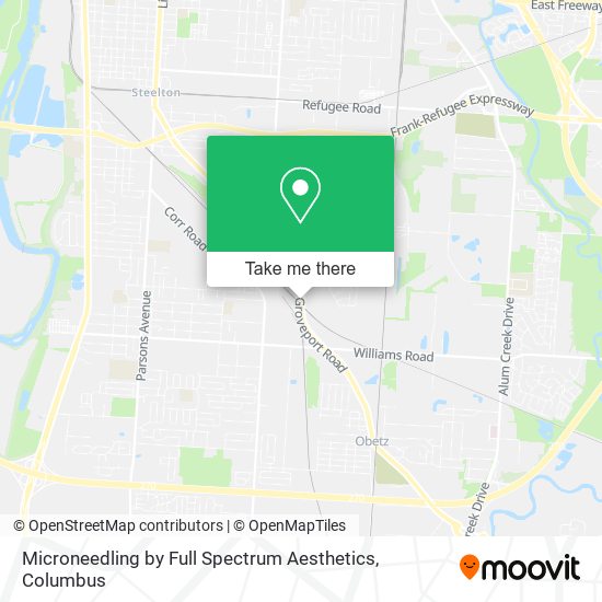 Mapa de Microneedling by Full Spectrum Aesthetics