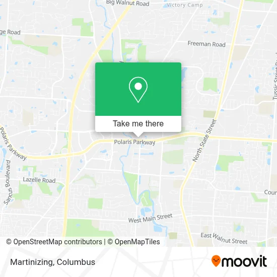 Martinizing map