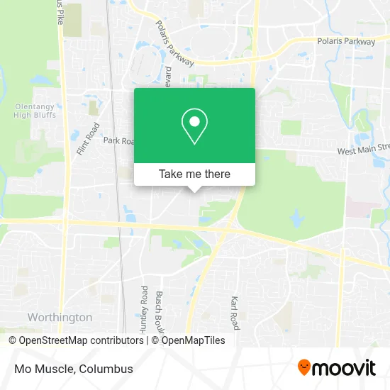 Mo Muscle map