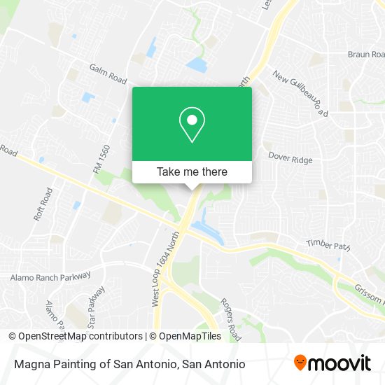 Magna Painting of San Antonio map