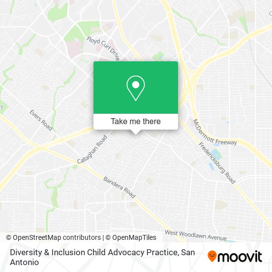 Diversity & Inclusion Child Advocacy Practice map