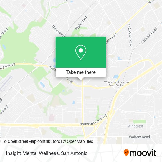 Mapa de Insight Mental Wellness