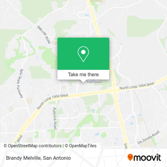 Brandy Melville map