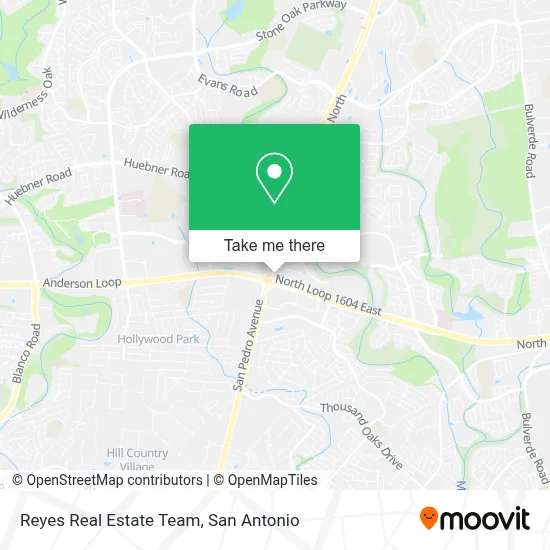 Reyes Real Estate Team map
