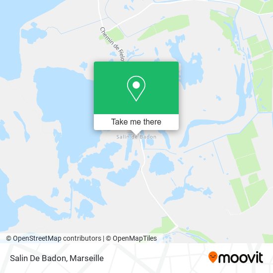 Salin De Badon map