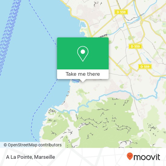 A La Pointe map