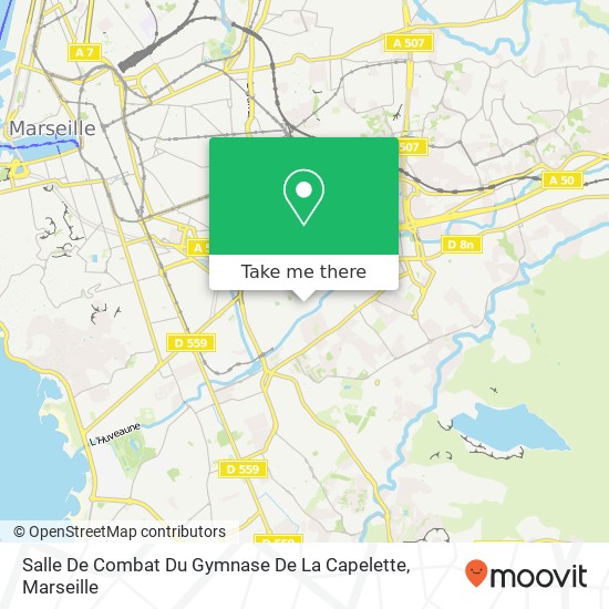 Salle De Combat Du Gymnase De La Capelette map