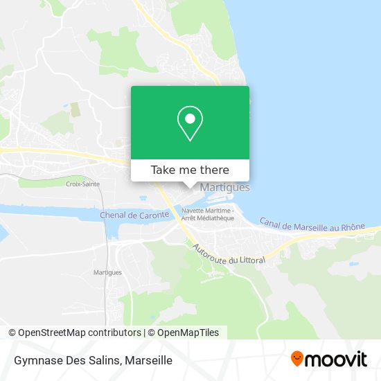 Gymnase Des Salins map