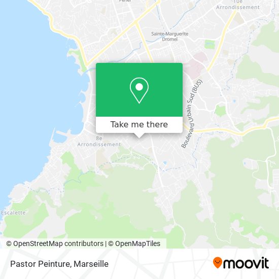 Mapa Pastor Peinture