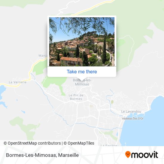Bormes-Les-Mimosas map