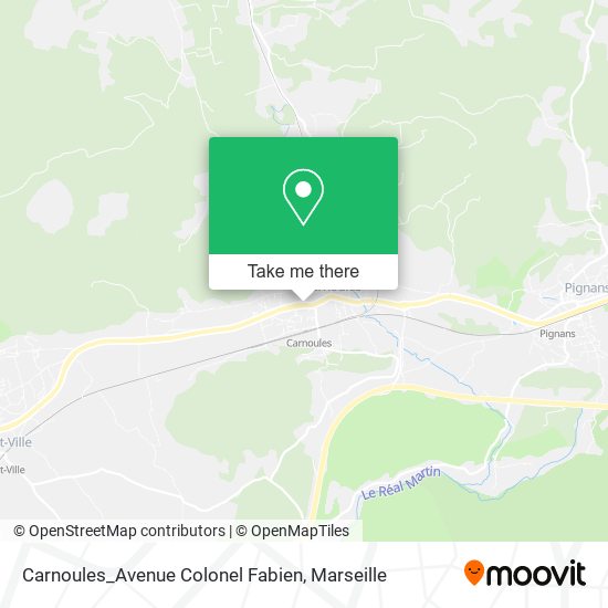 Carnoules_Avenue Colonel Fabien map
