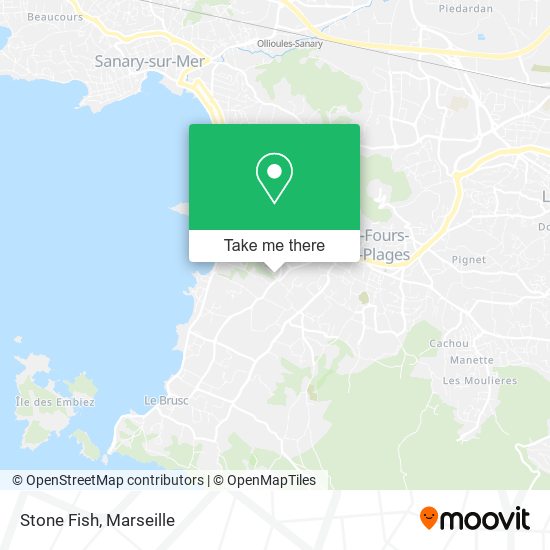 Stone Fish map