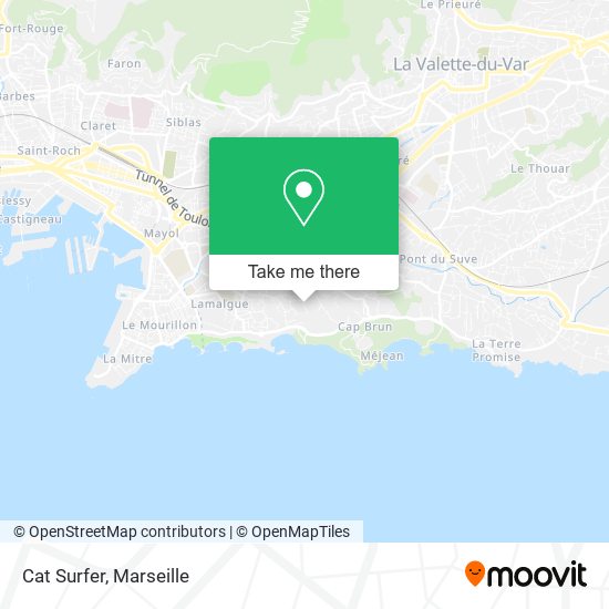 Cat Surfer map