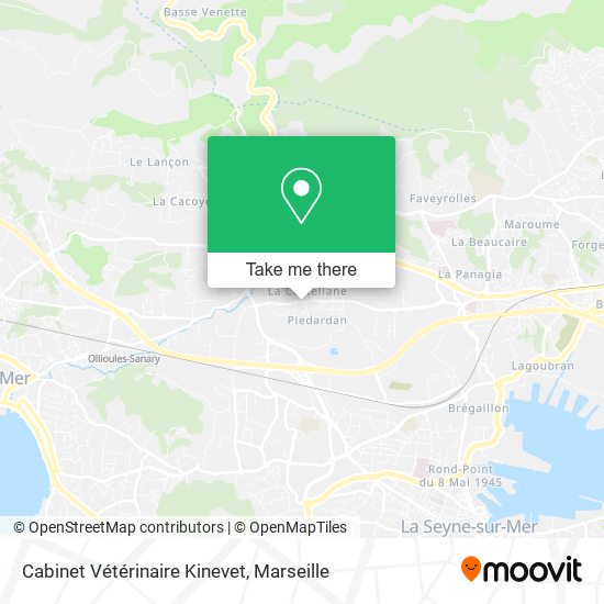 Cabinet Vétérinaire Kinevet map