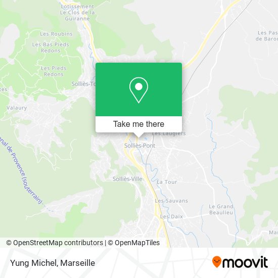Yung Michel map