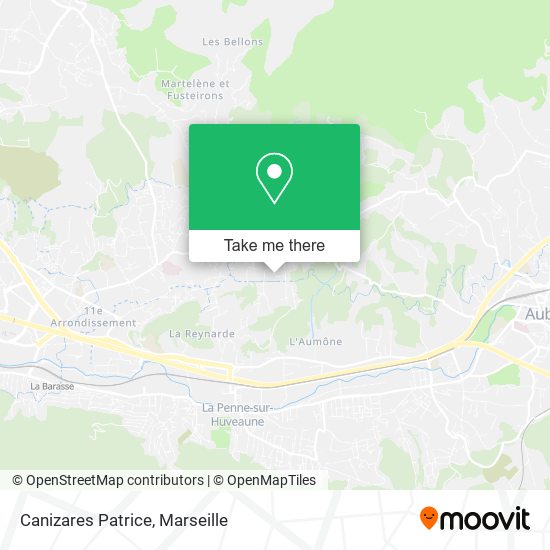 Canizares Patrice map