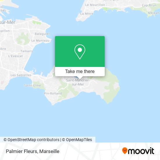 Palmier Fleurs map