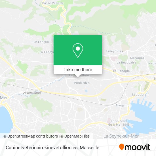 Cabinetveterinairekinevetollioules map