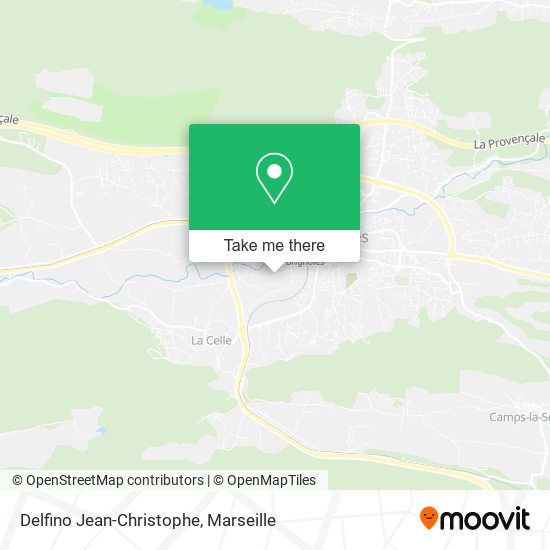 Delfino Jean-Christophe map