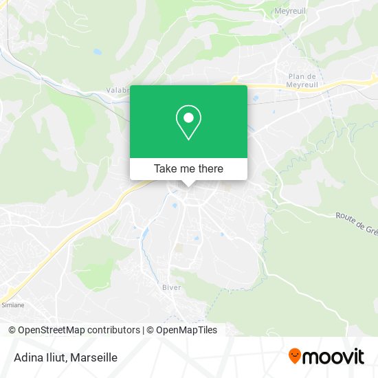 Adina Iliut map