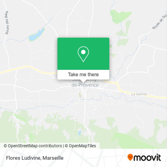 Flores Ludivine map