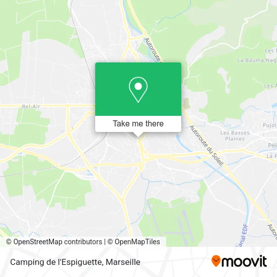 Camping de l'Espiguette map