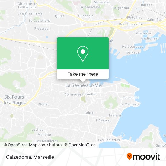 Calzedonia map