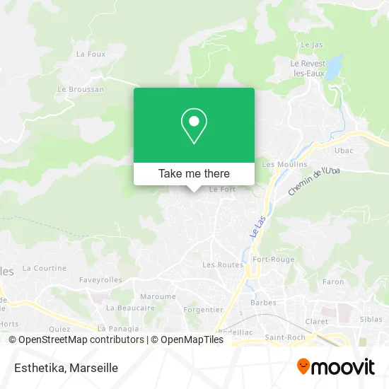 Esthetika map