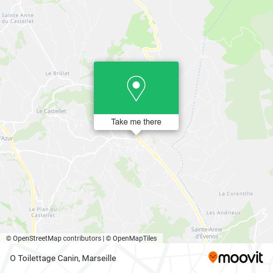 O Toilettage Canin map