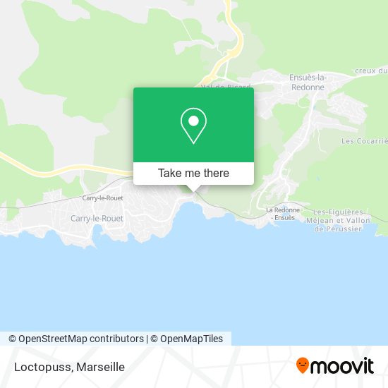 Loctopuss map