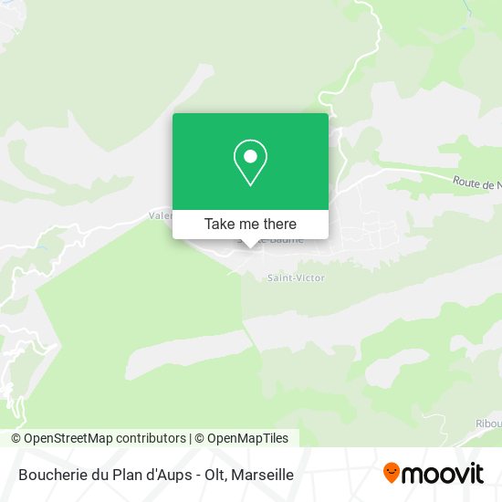 Boucherie du Plan d'Aups - Olt map