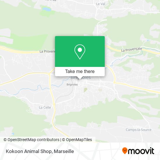 Kokoon Animal Shop map