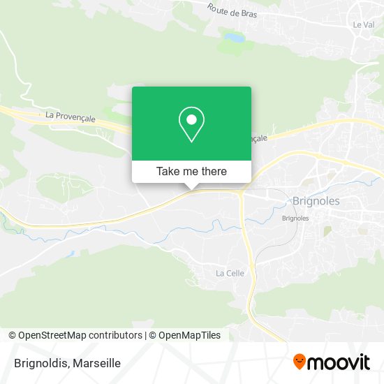 Brignoldis map