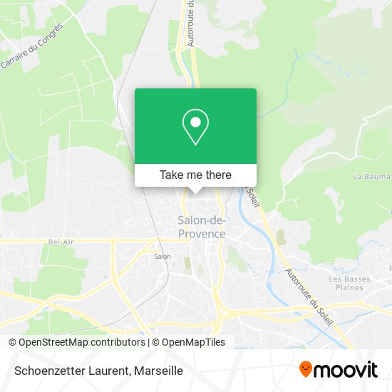 Schoenzetter Laurent map