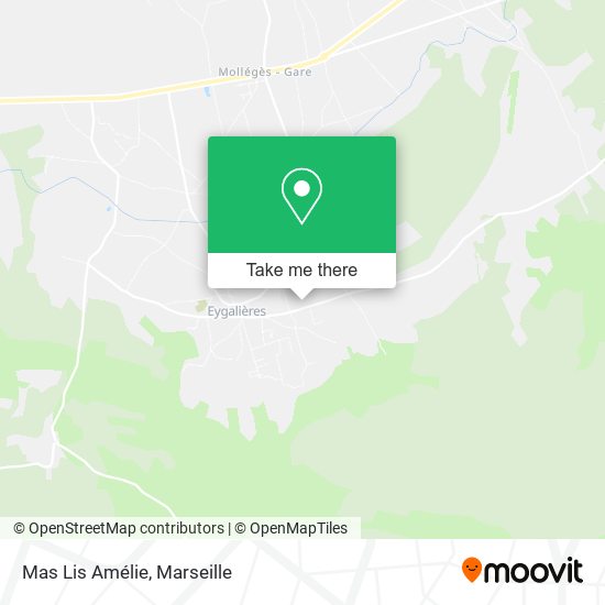 Mas Lis Amélie map