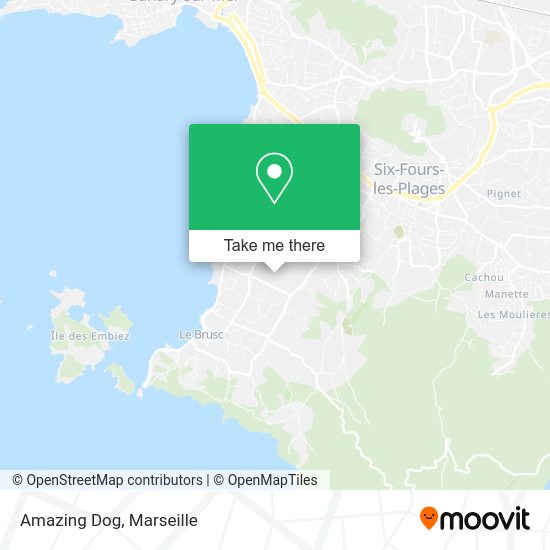 Amazing Dog map