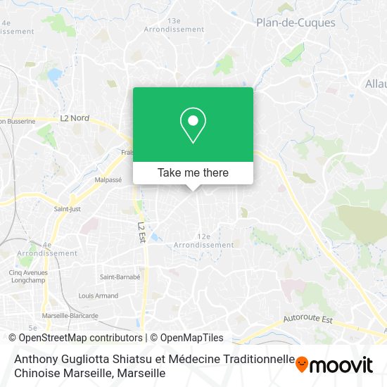 Anthony Gugliotta Shiatsu et Médecine Traditionnelle Chinoise Marseille map