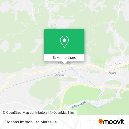 Pignans Immobilier map