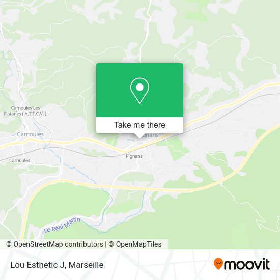 Lou Esthetic J map