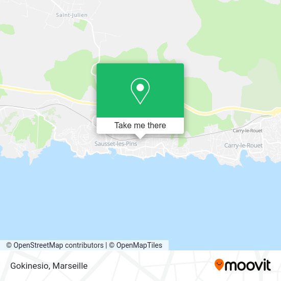 Gokinesio map