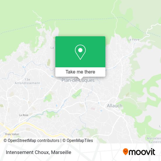Intensement Choux map