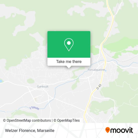 Welzer Florence map