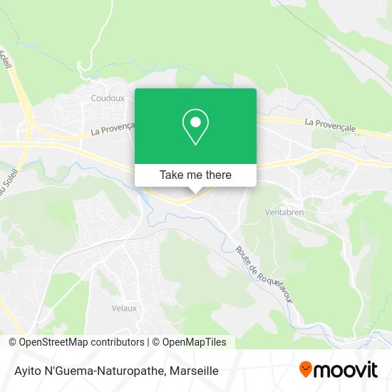 Ayito N'Guema-Naturopathe map