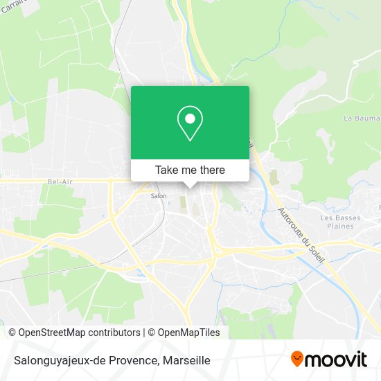 Salonguyajeux-de Provence map