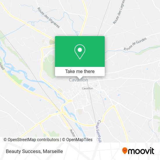 Beauty Success map