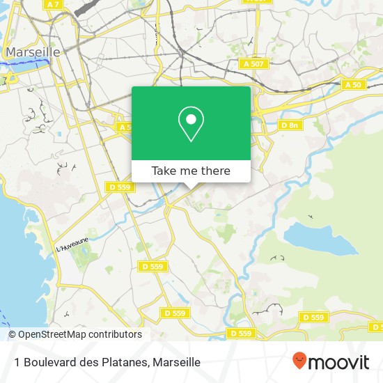 1 Boulevard des Platanes map