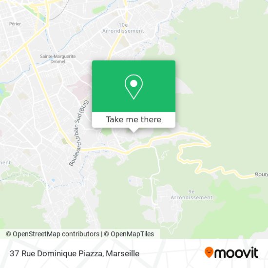 37 Rue Dominique Piazza map